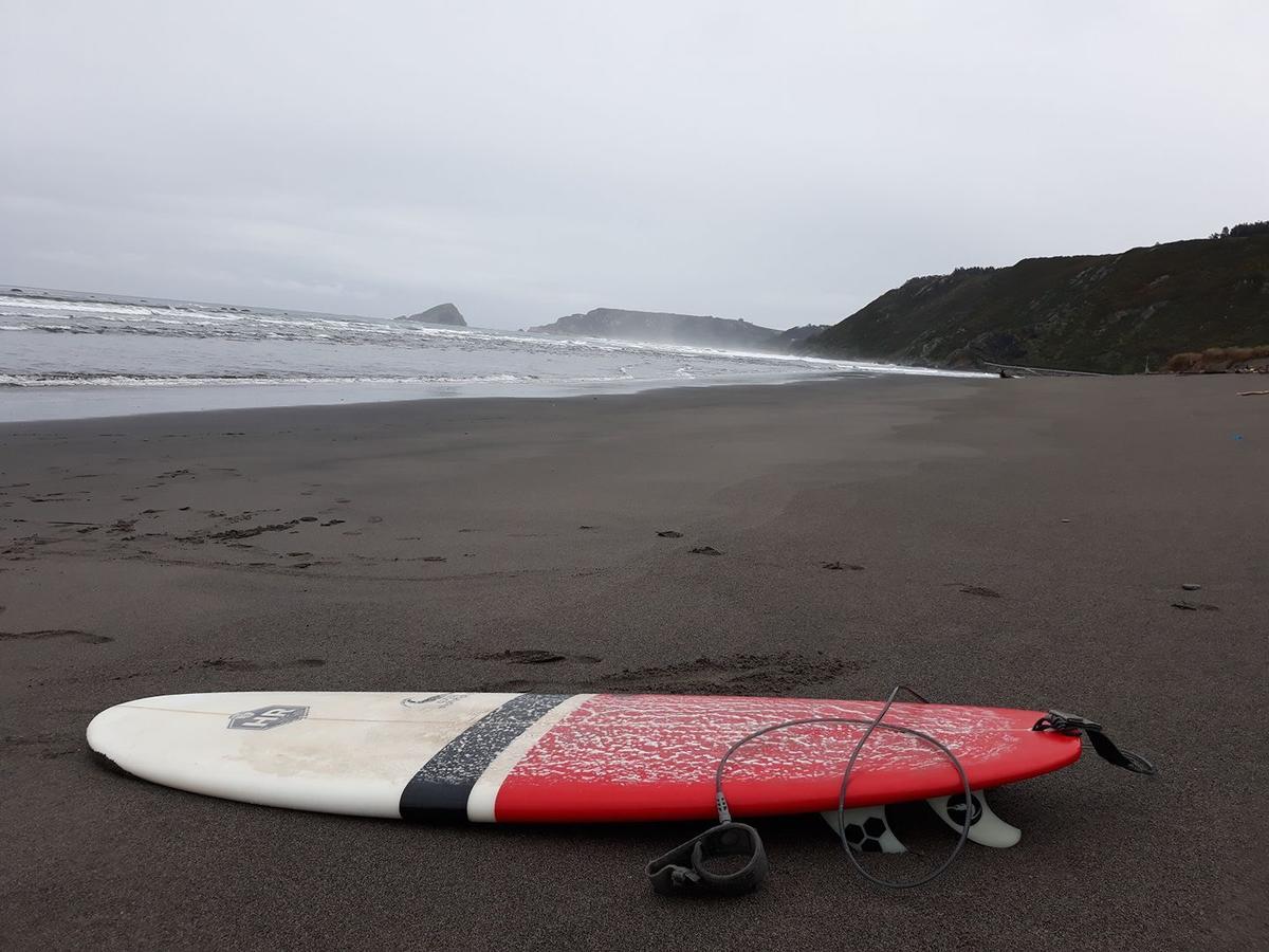 La Arena Cocos Surfhouse旅舍 外观 照片